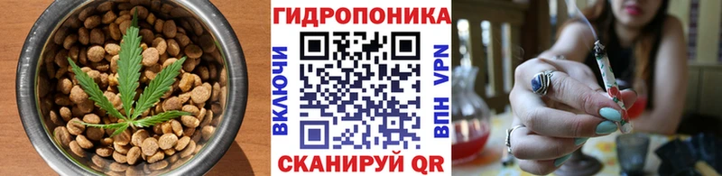 KRAKEN ссылки  Заводоуковск  Cannafood конопля 