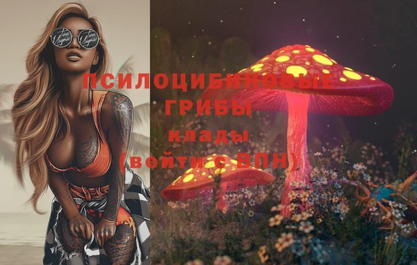 героин Алексин