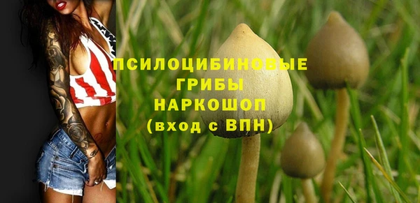 героин Каменка