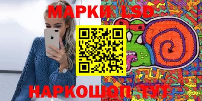 индика Ликино-Дулёво