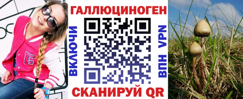 Псилоцибиновые грибы Psilocybine cubensis  Заводоуковск 